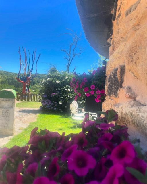 O Forno De Catuxa & Country house *